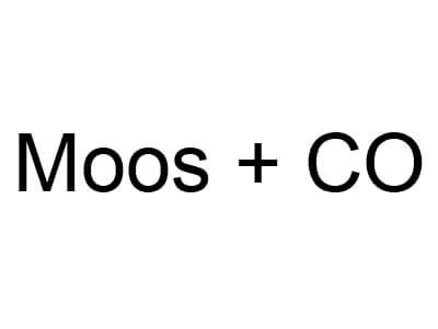 member_moos.jpg